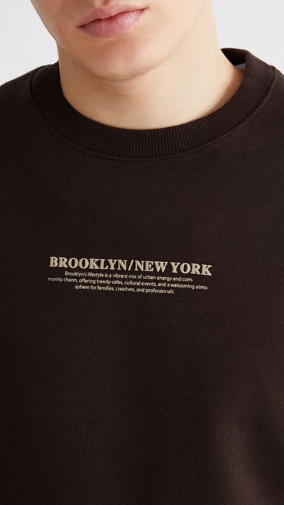 Crew Neck Printed Men's Thick Sweatshirt